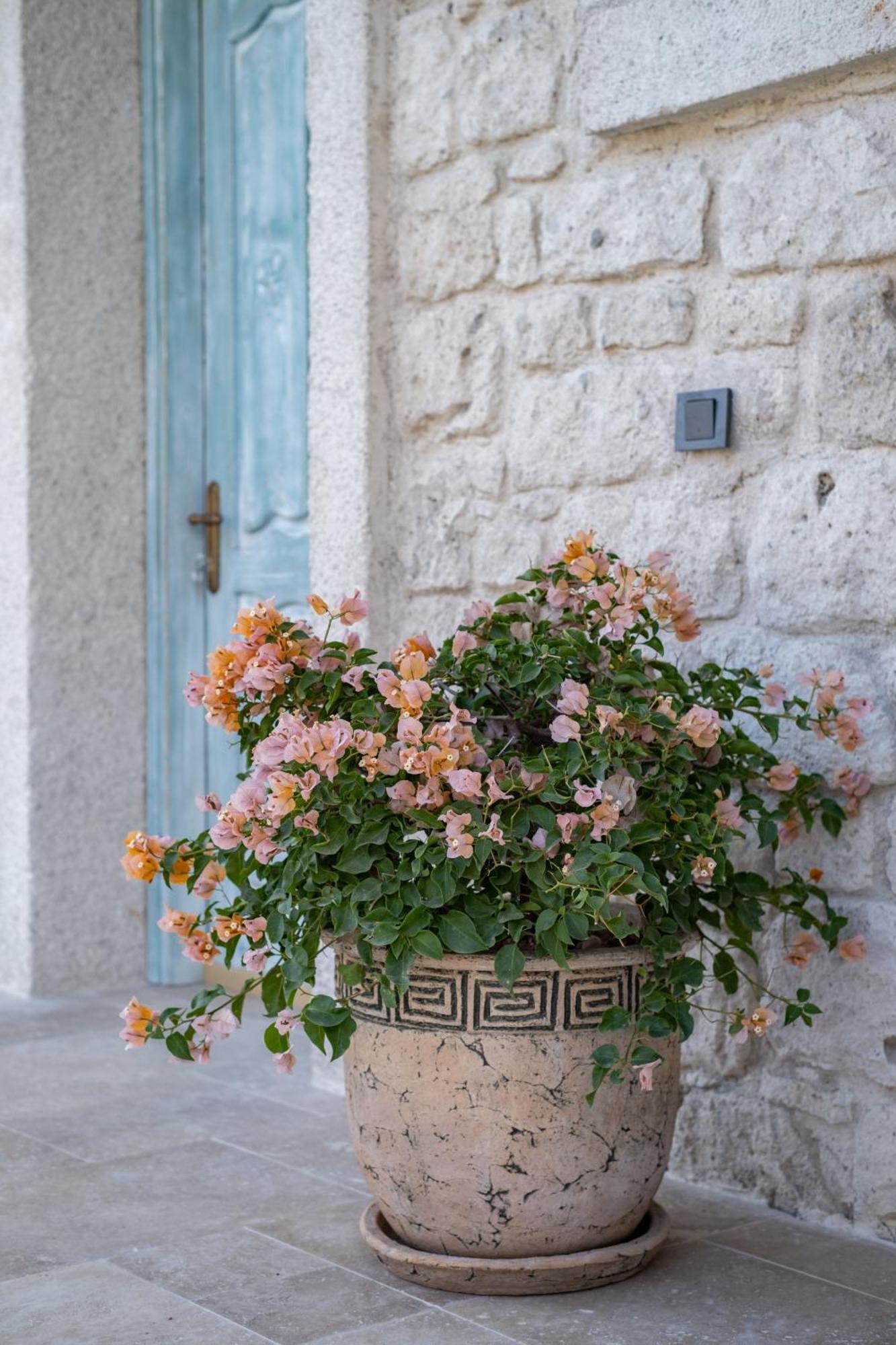 Armel Alacati Konaklama Extérieur photo